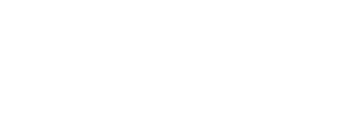 Xtool Official Car Diagnostic TOOL Store
